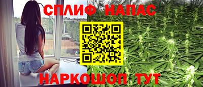 ГАЛЛЮЦИНОГЕННЫЕ ГРИБЫ Будённовск