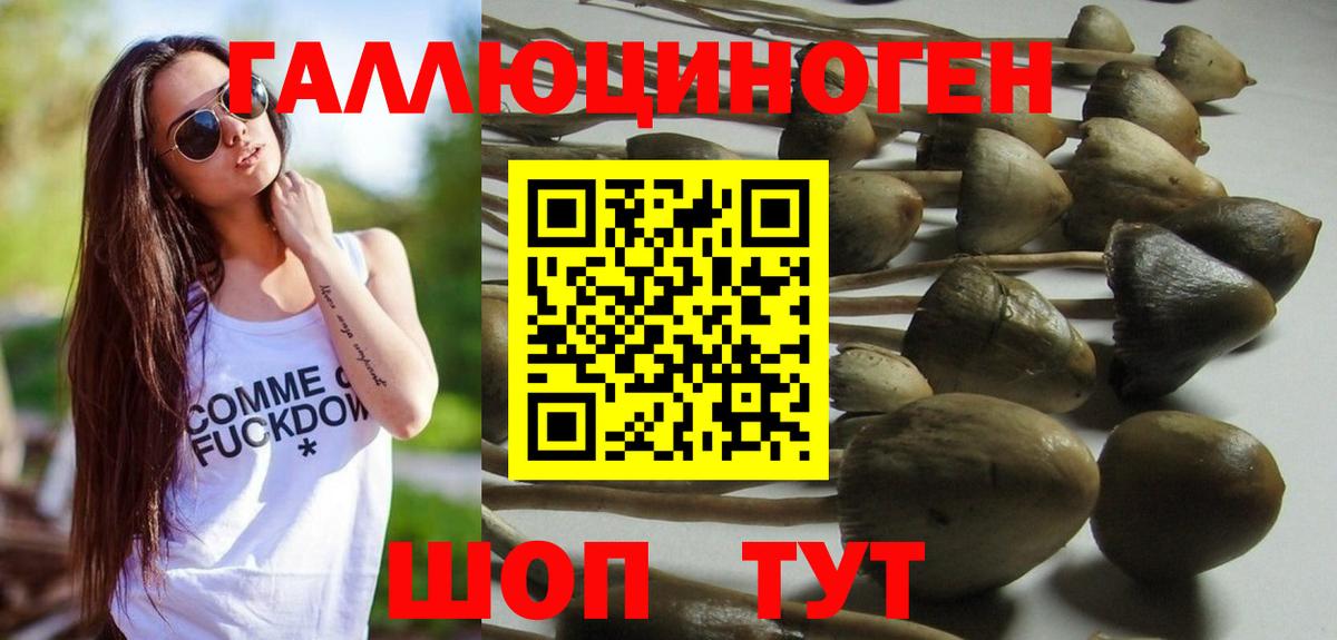 что такое наркотик  Вход с VPN  Галлюциногенные грибы ЛСД  Новочебоксарск  Галлюциногенные грибы мицелий 