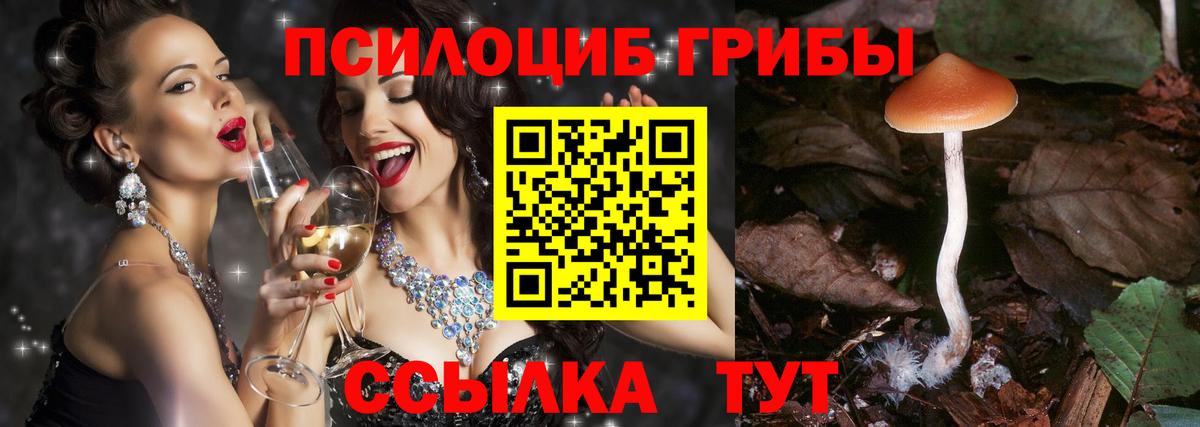Галлюциногенные грибы Magic Shrooms Новочебоксарск